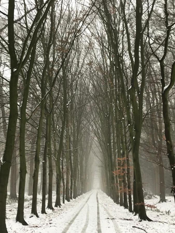 B&B 'Het Gripshuis' Вюґт Екстер'єр фото